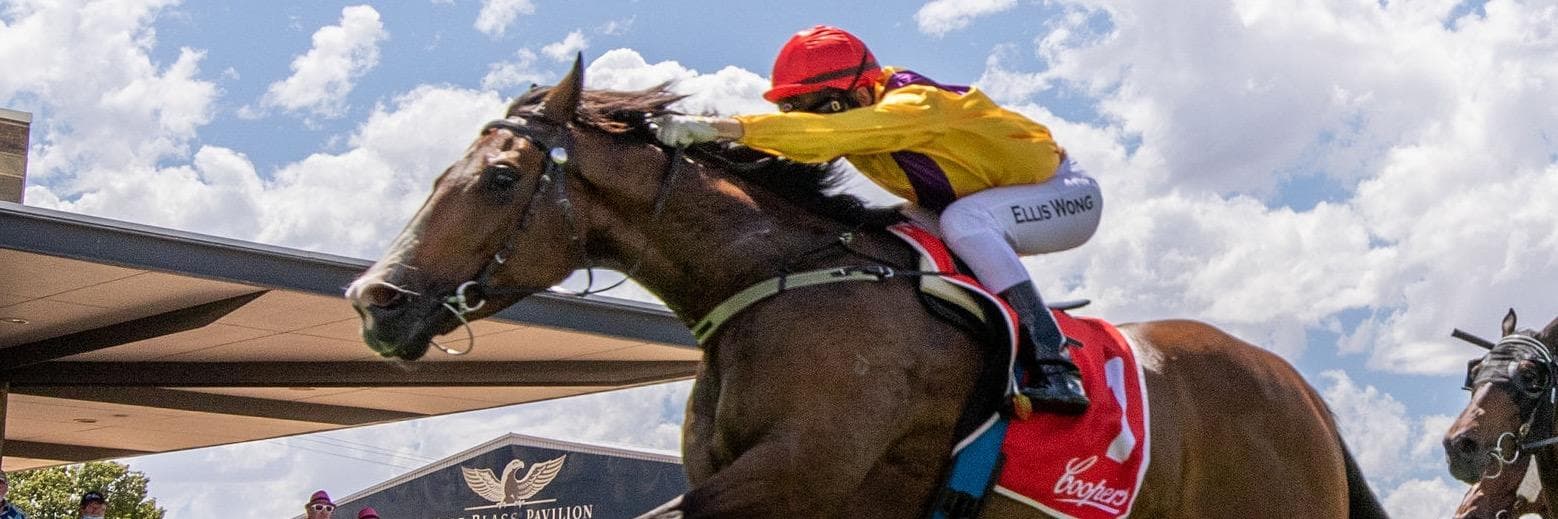 Searle Callanan Racing