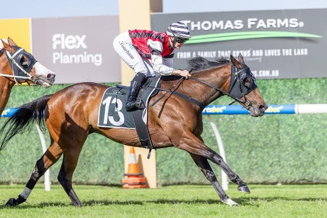 Aztec Dancer Salutes and 100 wins for the partnership!